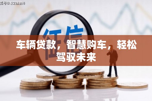 舞阳车辆贷款，智慧购车，轻松驾驭未来