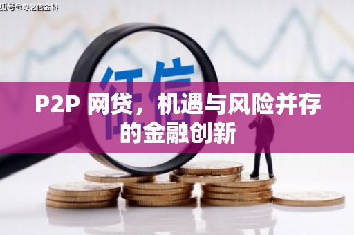 舞阳P2P 网贷，机遇与风险并存的金融创新