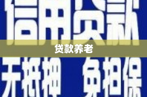 舞阳贷款养老