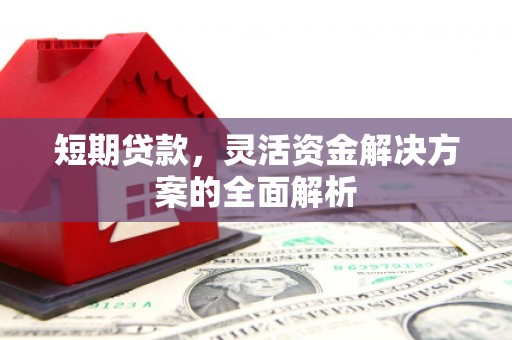 舞阳短期贷款，灵活资金解决方案的全面解析