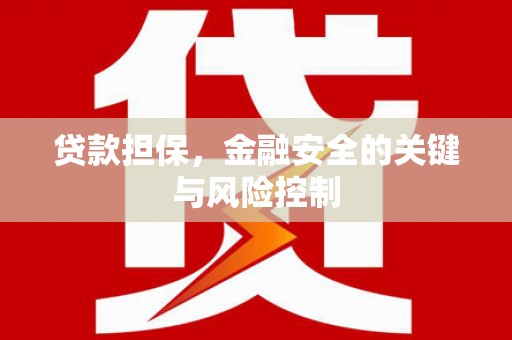 舞阳贷款担保，金融安全的关键与风险控制