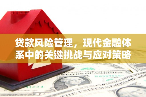 舞阳贷款风险管理，现代金融体系中的关键挑战与应对策略