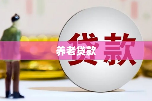 舞阳养老贷款