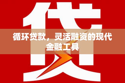 舞阳循环贷款，灵活融资的现代金融工具