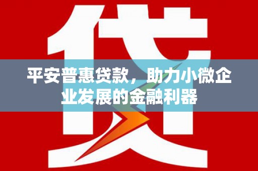 舞阳平安普惠贷款，助力小微企业发展的金融利器