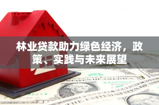 舞阳林业贷款助力绿色经济，政策、实践与未来展望