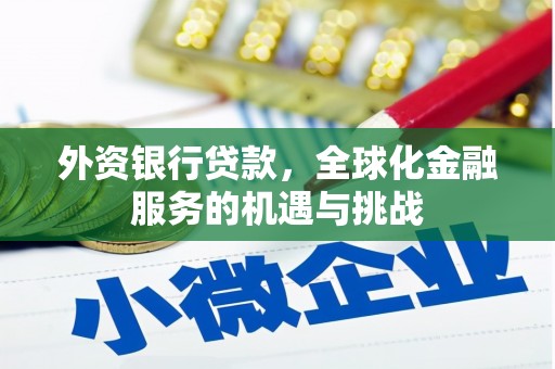 舞阳外资银行贷款，全球化金融服务的机遇与挑战