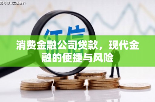 舞阳消费金融公司贷款，现代金融的便捷与风险