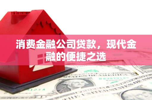舞阳消费金融公司贷款，现代金融的便捷之选