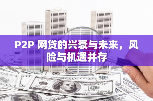 舞阳P2P 网贷的兴衰与未来，风险与机遇并存
