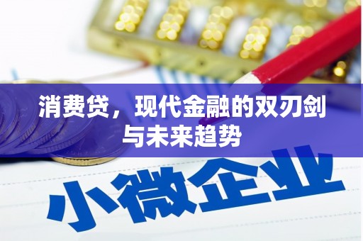 舞阳消费贷，现代金融的双刃剑与未来趋势