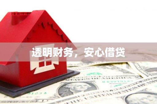 舞阳透明财务，安心借贷