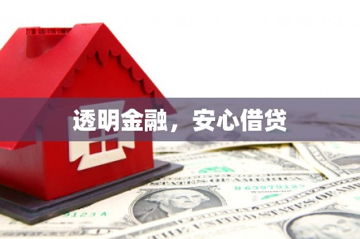 舞阳透明金融，安心借贷