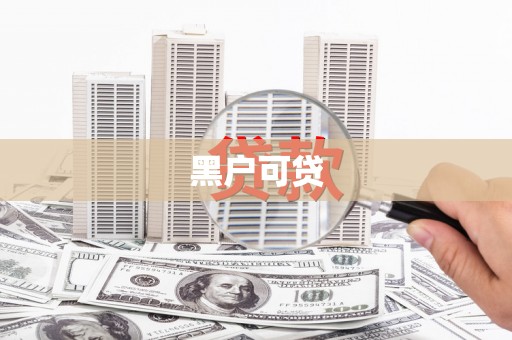 舞阳黑户可贷