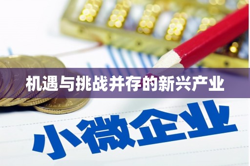 舞阳机遇与挑战并存的新兴产业