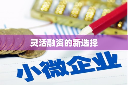 舞阳灵活融资的新选择