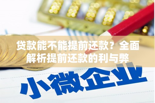 舞阳贷款能不能提前还款？全面解析提前还款的利与弊