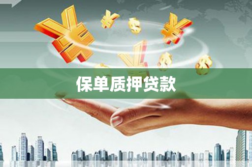 舞阳保单质押贷款