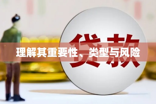 舞阳理解其重要性、类型与风险
