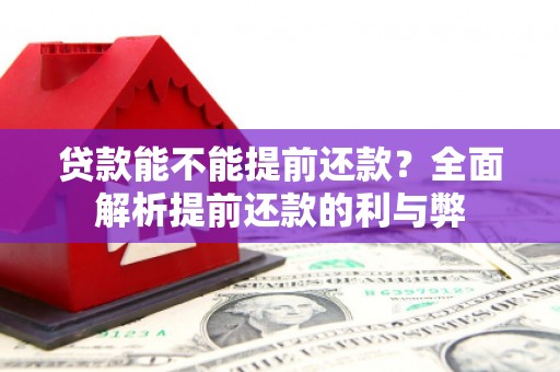 舞阳贷款能不能提前还款？全面解析提前还款的利与弊