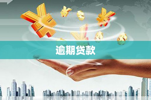舞阳逾期贷款