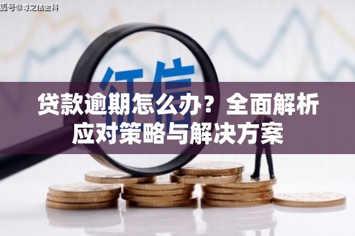 舞阳贷款逾期怎么办？全面解析应对策略与解决方案