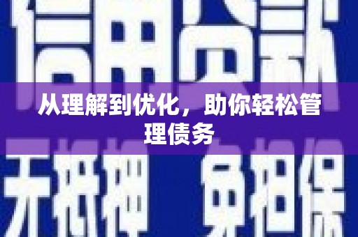舞阳从理解到优化，助你轻松管理债务