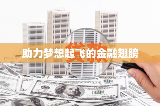 舞阳助力梦想起飞的金融翅膀