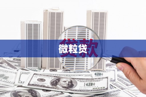 舞阳微粒贷