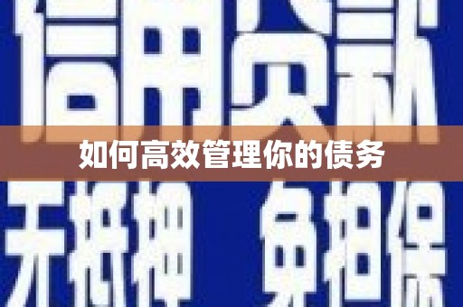 舞阳如何高效管理你的债务