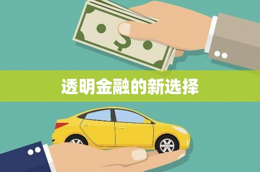 舞阳透明金融的新选择