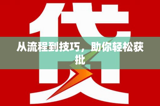 舞阳从流程到技巧，助你轻松获批
