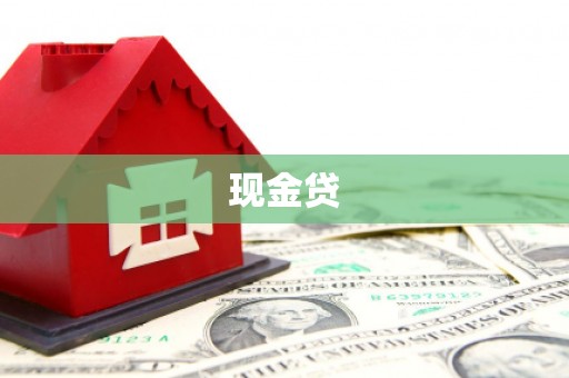舞阳现金贷