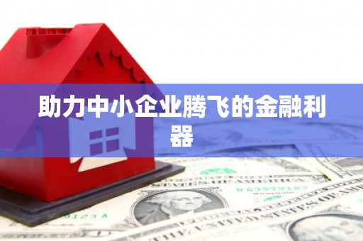 舞阳助力中小企业腾飞的金融利器