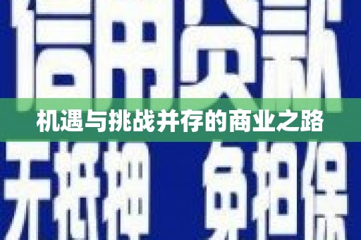 舞阳机遇与挑战并存的商业之路