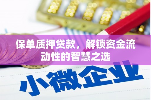 舞阳保单质押贷款，解锁资金流动性的智慧之选