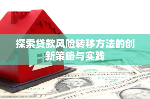 舞阳探索贷款风险转移方法的创新策略与实践