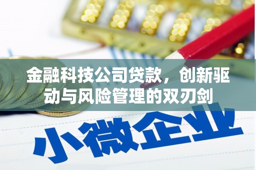 舞阳金融科技公司贷款，创新驱动与风险管理的双刃剑