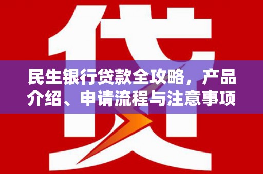 舞阳民生银行贷款全攻略，产品介绍、申请流程与注意事项